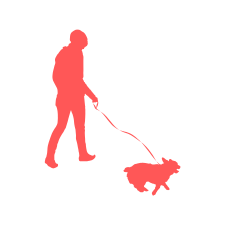 Accesorios para el Paseo