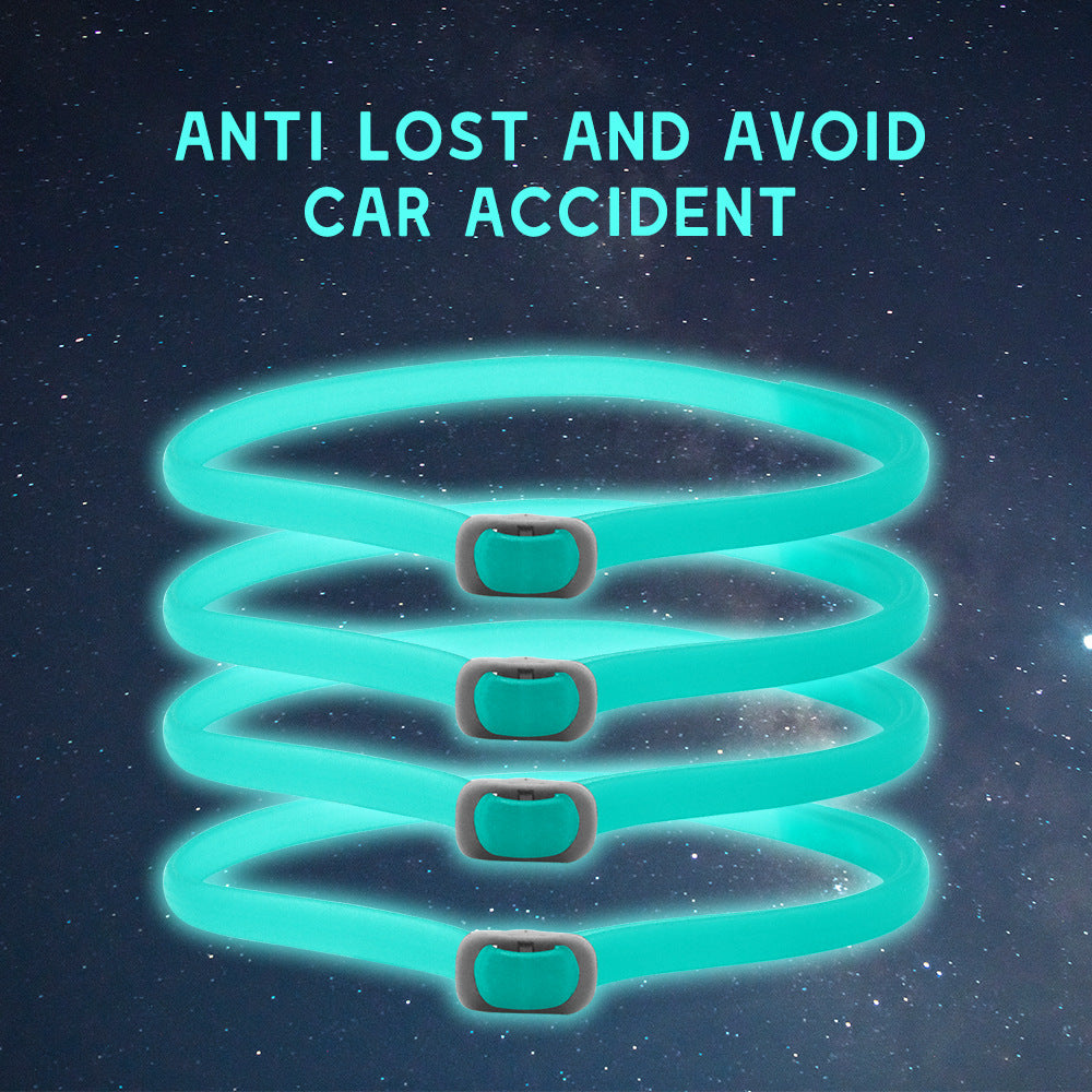 Luminous Insect Repellent Dog Collar – Safe Nighttime Protection for Pets